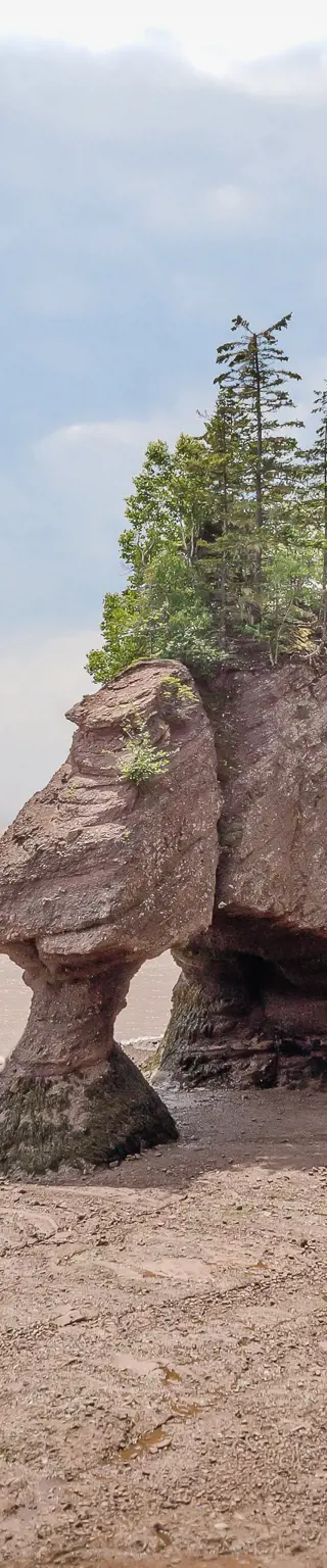 Bestaune die Felsformationen der Hopewell Rocks